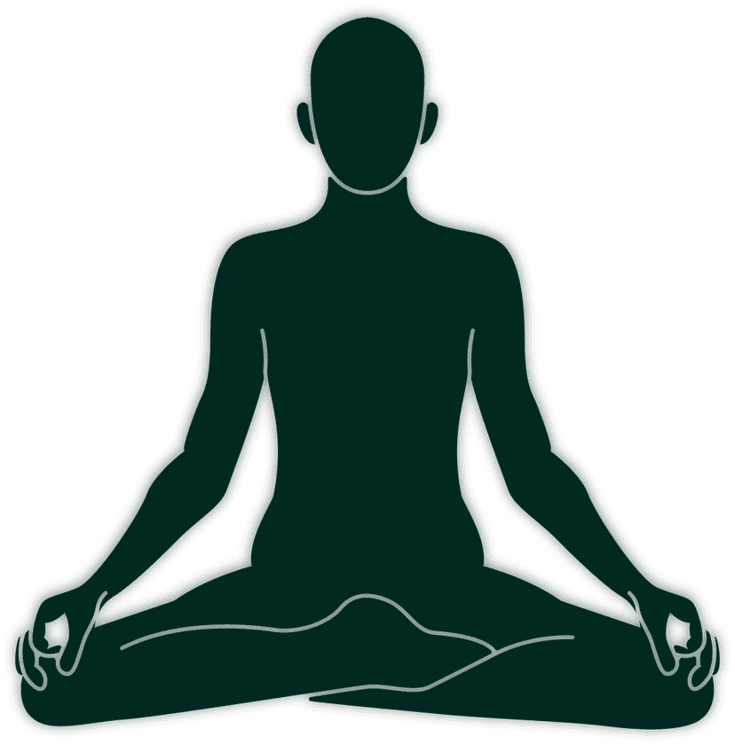 Ayurvedic Constitution